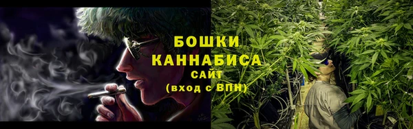 spice Новозыбков