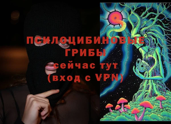 синтетический гашиш Новодвинск