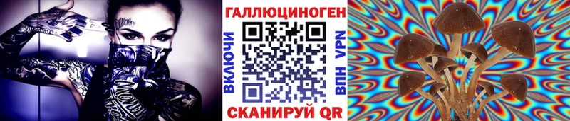 Купить Калязин Галлюциногенные грибы Psilocybe